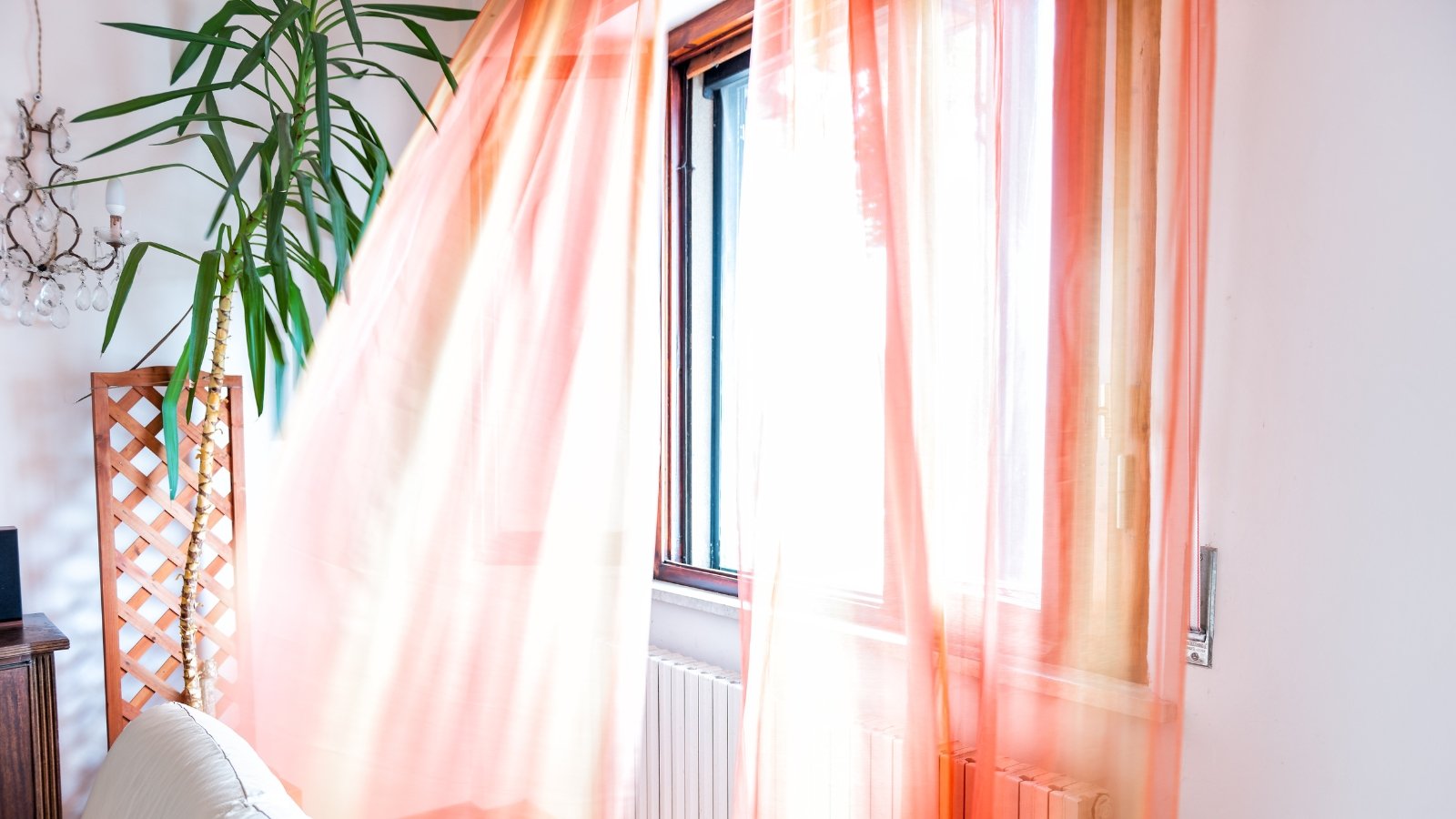 Light orange curtains billow softly by an open window next to a tall potted plant.