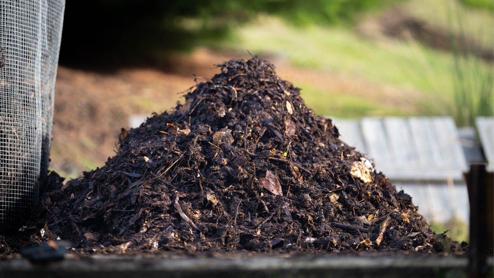 Organic matter decomposing in a mound, creating nutrient-rich soil amendment for gardening.