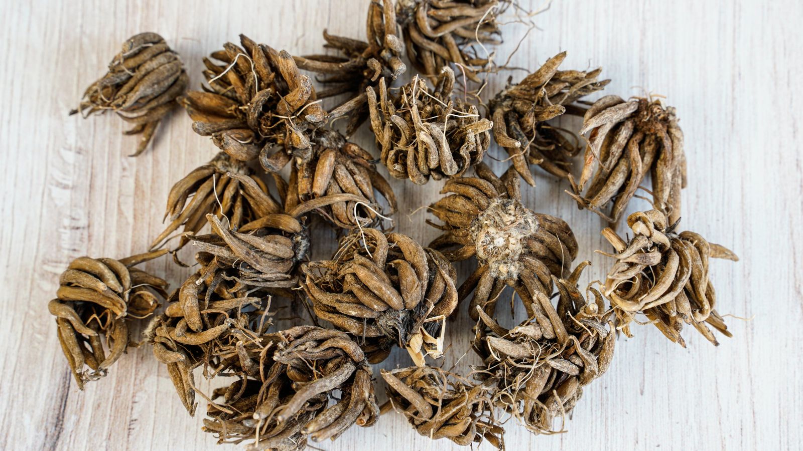 A top-view shot of piled up dried corms of a Ranunculus flower placed on top of a wooden surface in a well lit area indoors