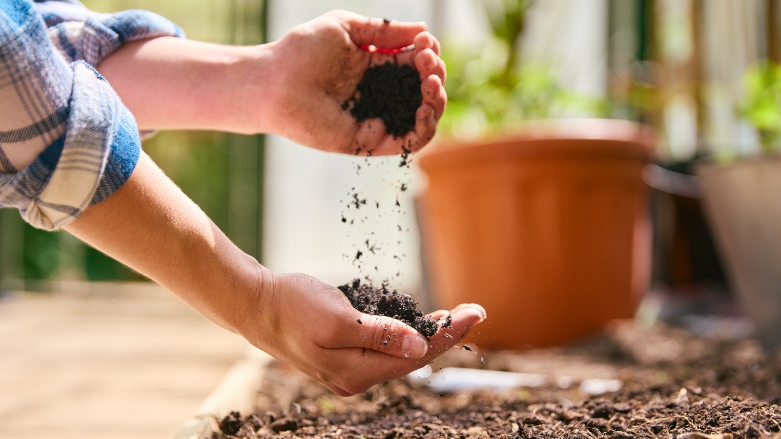 A pair of hands gently scatters soil into a garden bed, with a terracotta pot in the background, preparing the ground for growth.